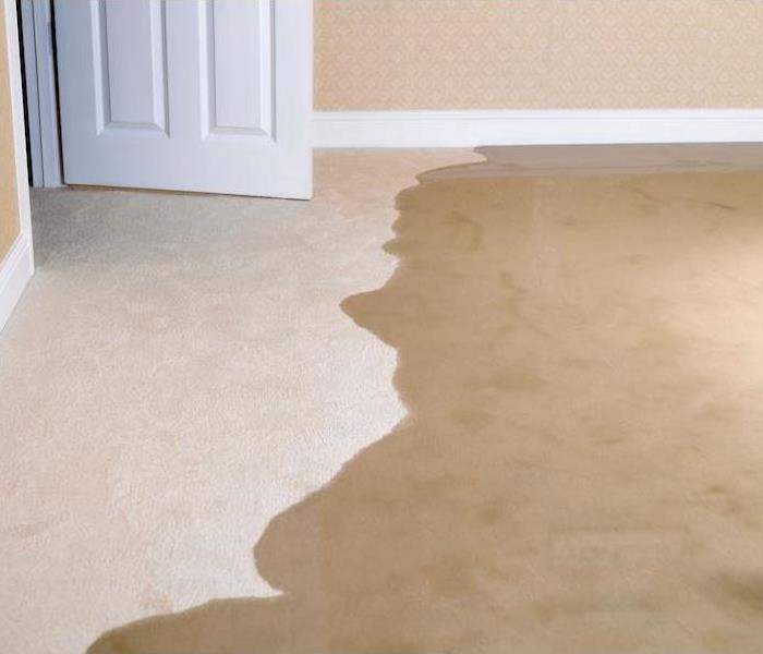 Water Partially Flooding Carpet