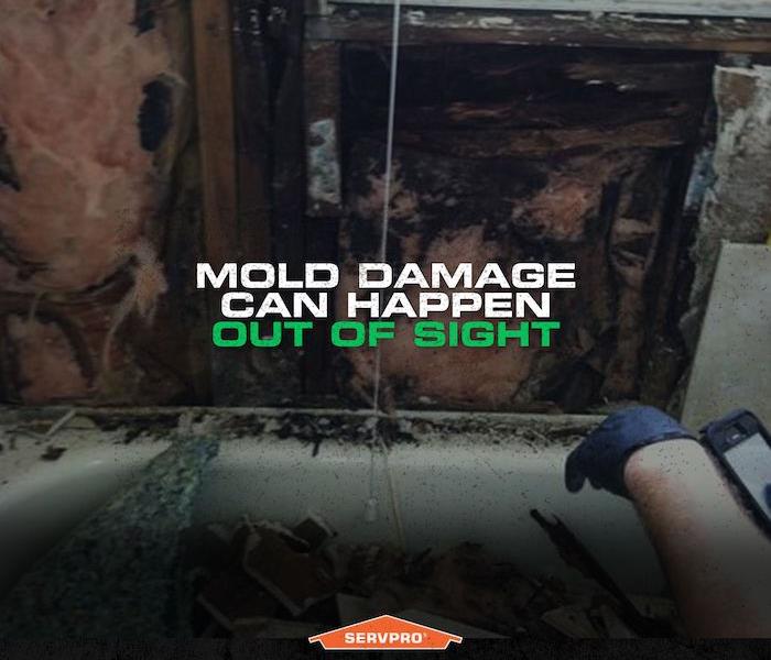 "Mold damage can happen out of sight"