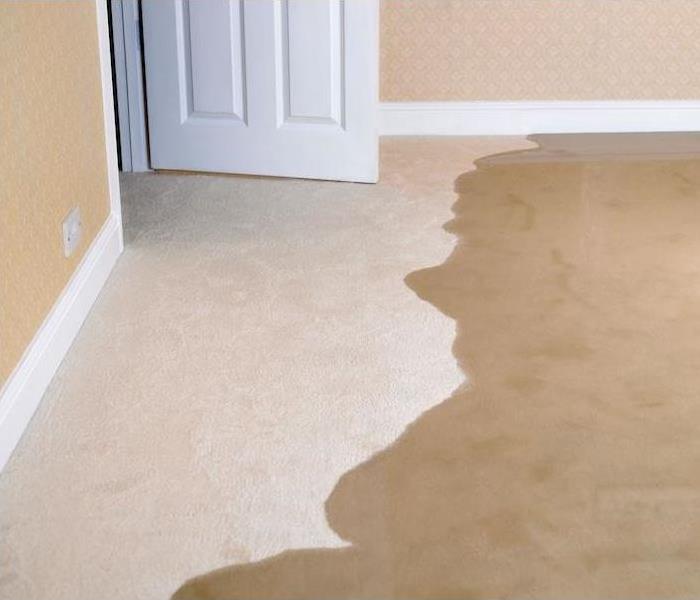 Carpet Partially Flooded